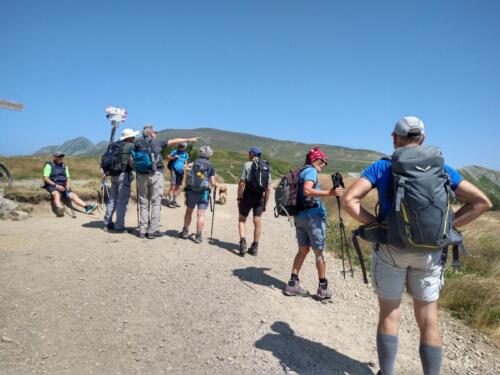 Gli scudieri del Cusna: Alpe di Vallestrina Monte Ravino luglio