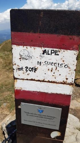 La vetta dell'Alpe